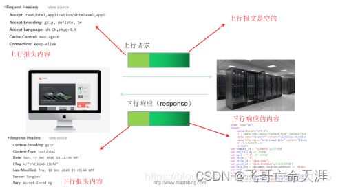 深入理解計算機網(wǎng)絡(luò)中的POST請求